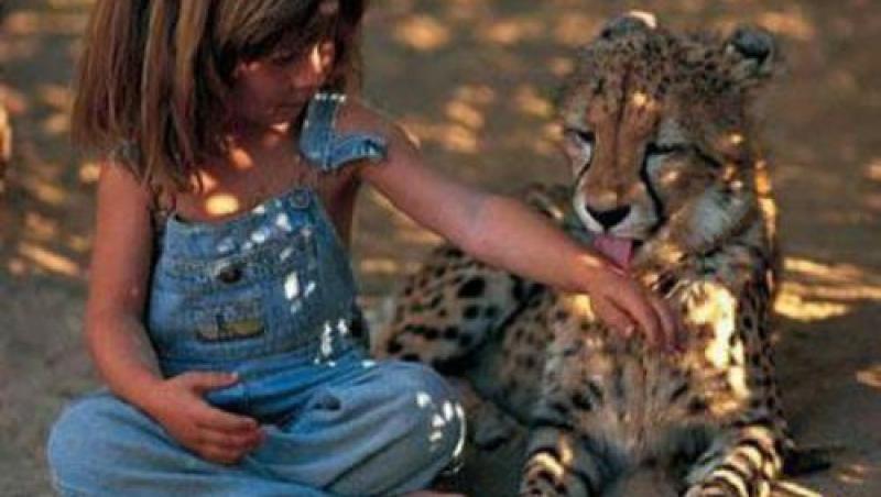 Mowgli exista! La doar sase ani, o fetita imblanzeste leoparzi si saruta serpi