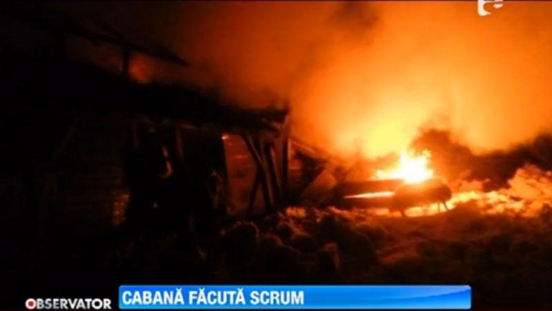 Bistrita Nasaud: Un incendiu a mistuit o cabana din Muntii Calimani