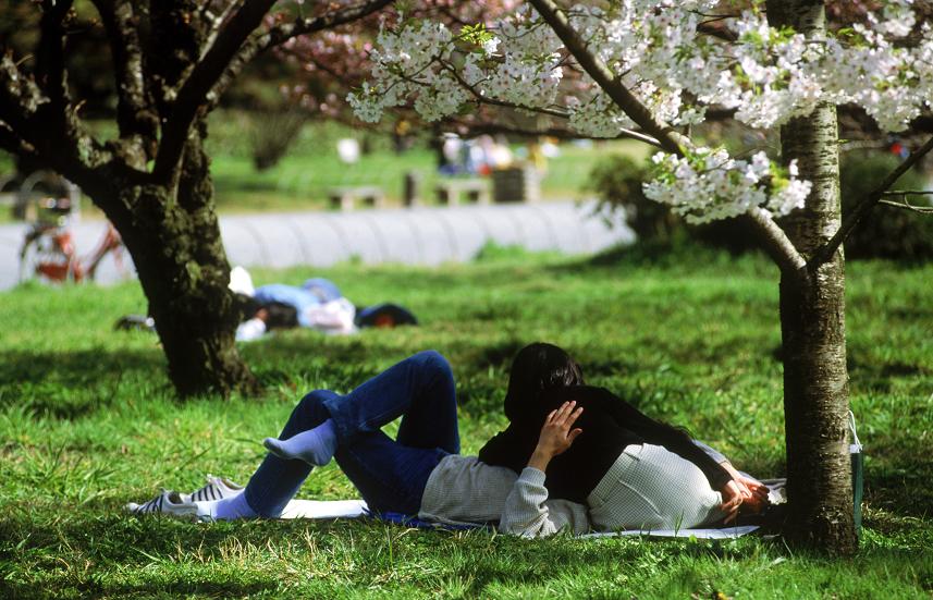 Astazi are loc echinoctiul de primavara. Ziua va fi egala cu noaptea 