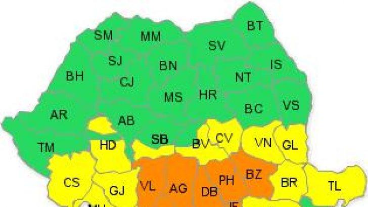 COD PORTOCALIU de ninsori in Bucuresti