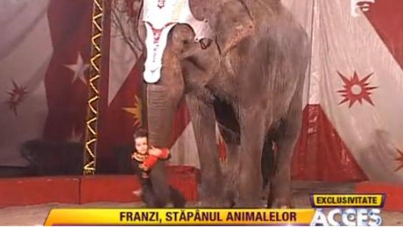Franzi, imblanzitorul de elefanti! La doar cinci ani, dreseaza uriasele animale (VIDEO)