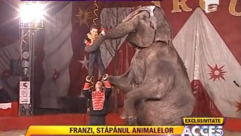 Franzi, imblanzitorul de elefanti! La doar cinci ani, dreseaza uriasele animale (VIDEO)