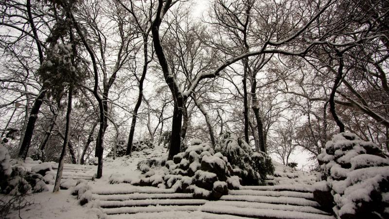 Aici era locul de intalnire al indragostitilor! Povestea Parcului Cismigiu, comoara din mijlocul Bucurestiului