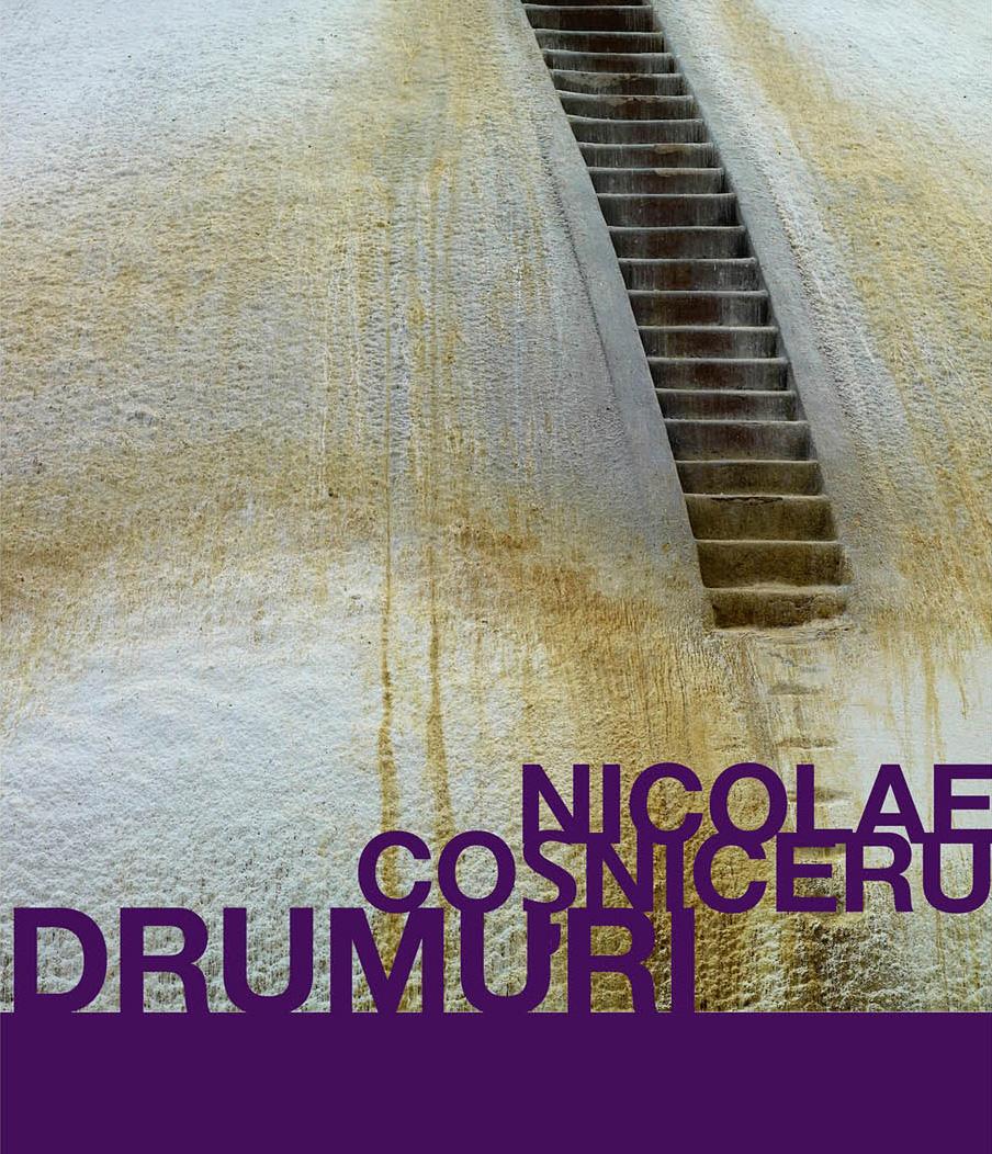 Expozitie de fotografie: "Drumuri", de Nicolae Cosniceru, la Galeria Alchemia