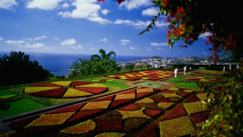 Top 5 atractii in Madeira