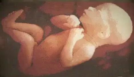 Acest portret nu e ceea ce pare: Bebelus realizat din pahare! (VIDEO)