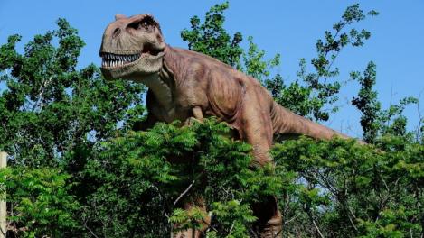 Dinozauri in curtea Muzeului Brukenthal!