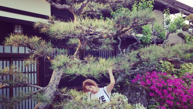 O noua vacanta... Delia Matache, in Tara Soarelui Rasare!