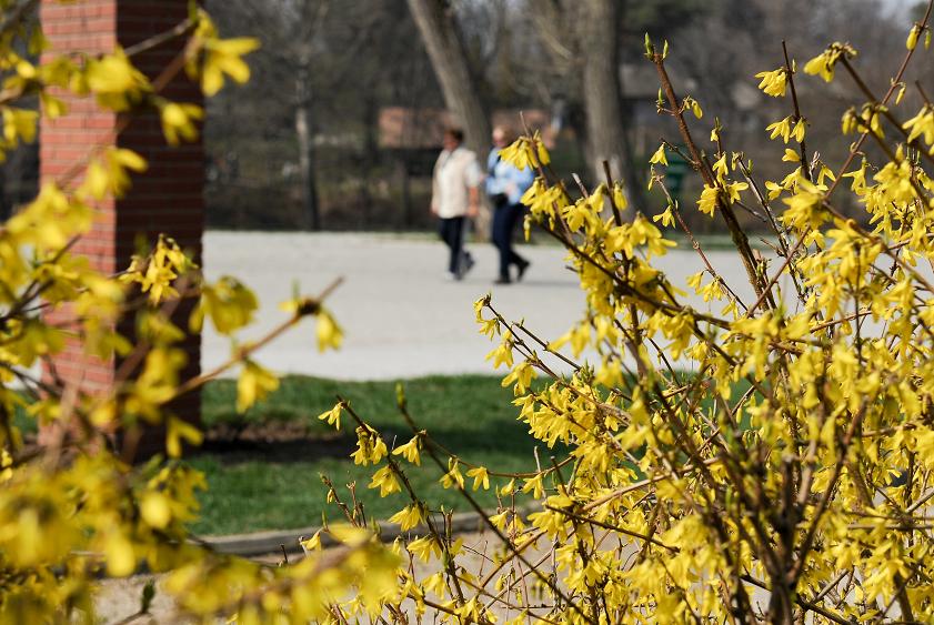 Prognoza METEO pana pe 30 iunie