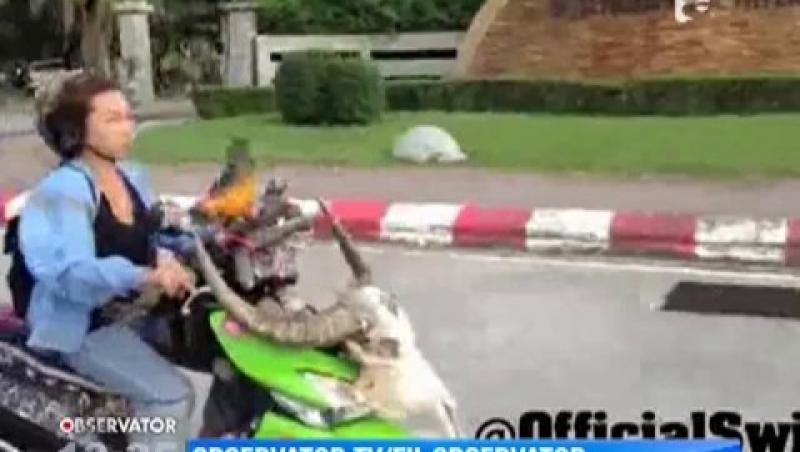 Cea mai rea motociclista! (VIDEO)