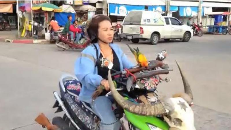 VIRAL! Papagalul care se plimba cu scuterul