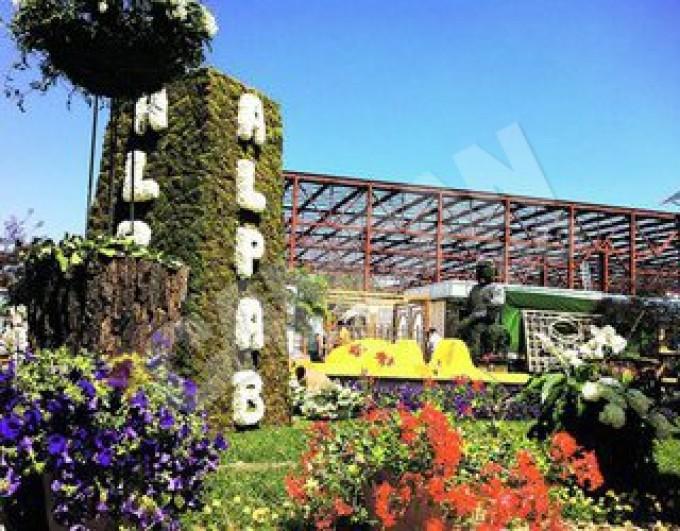 Cele mai importante orase din Romania cheltuie sume uriase pe... flori