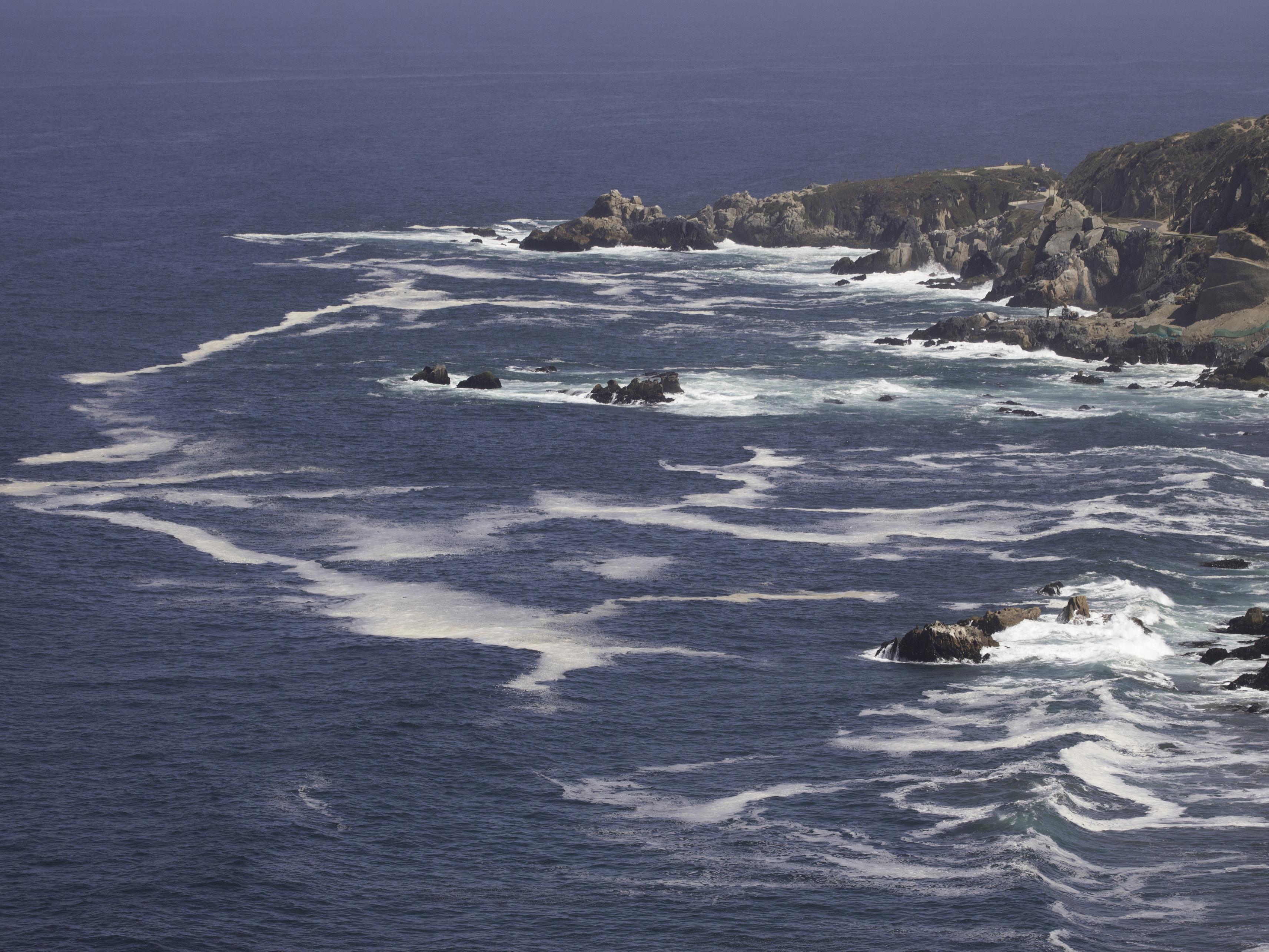 Naufragiu in largul insulei Java: Peste 100 de oameni salvati si zeci de disparuti