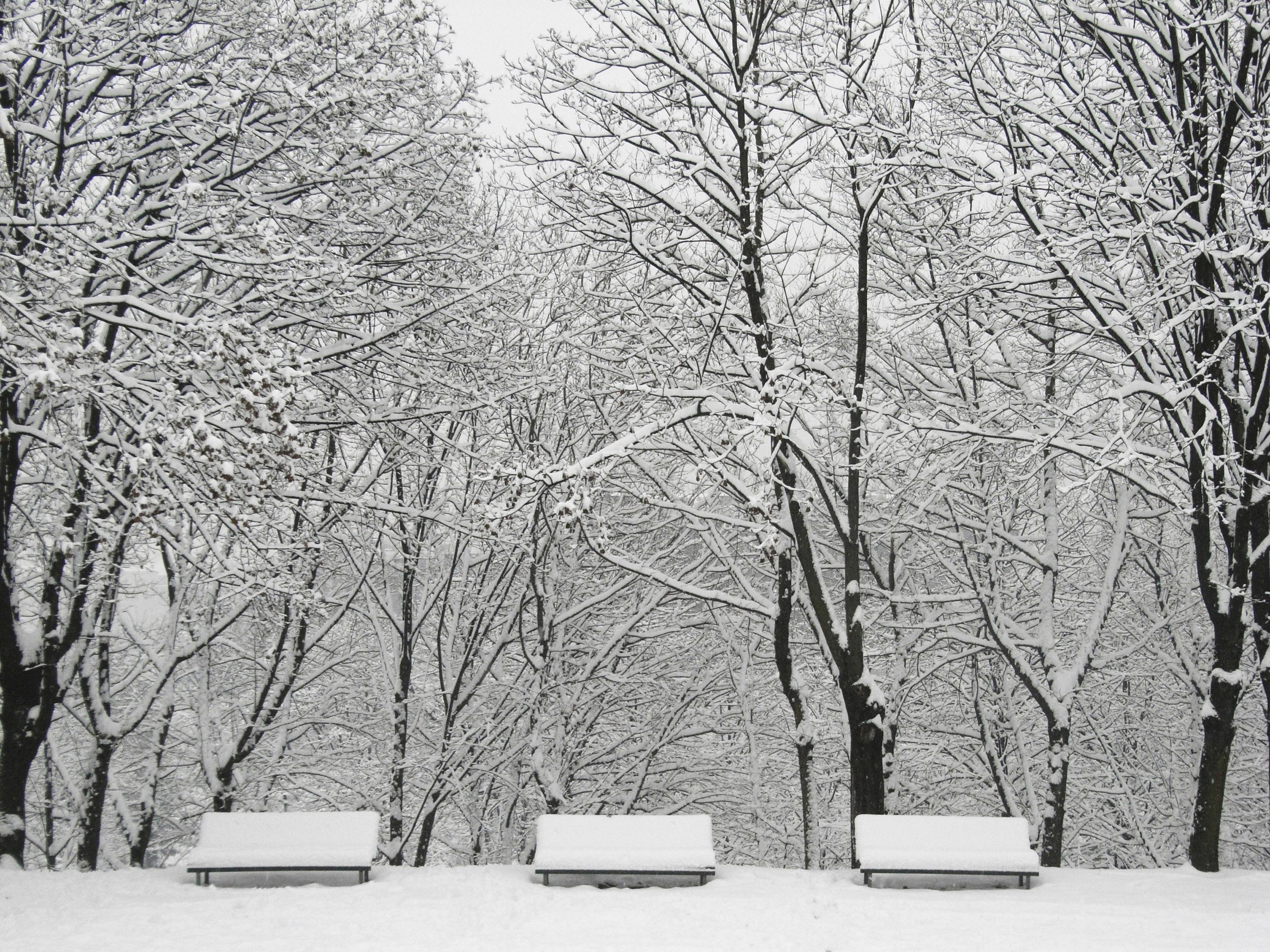 FENOMEN RAR! Ninsori in Brazilia, dupa mai bine de trei decenii