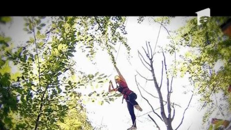 Adrenalina printre copaci! Cea mai buna destinatie pentru iubitorii de sporturi extreme