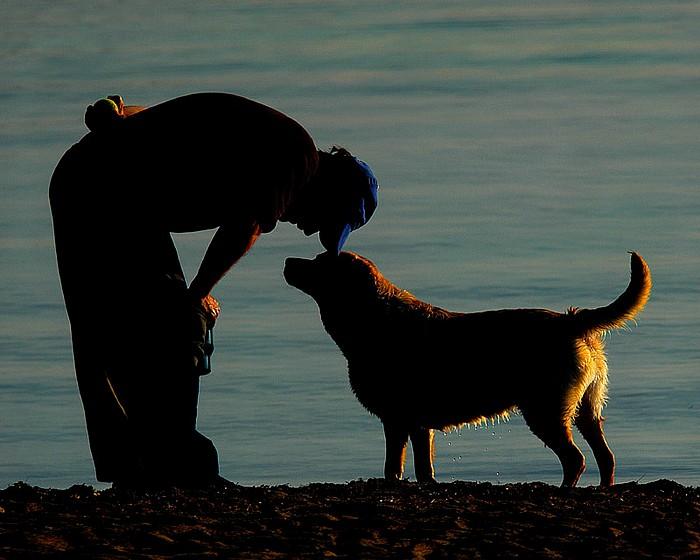 Un barbat si-a salvat cainele de la moarte, inainte de... propria sotie!