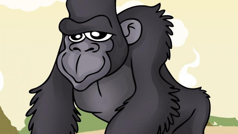 Gorila, primata jucausa