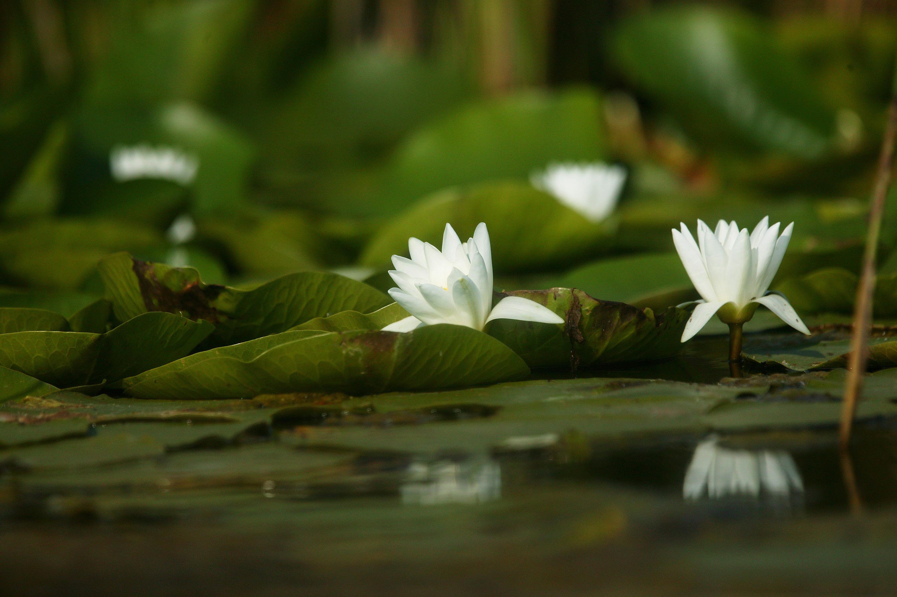 Top TREI statiuni de vacanta din Romania. Tu pe care o alegi?