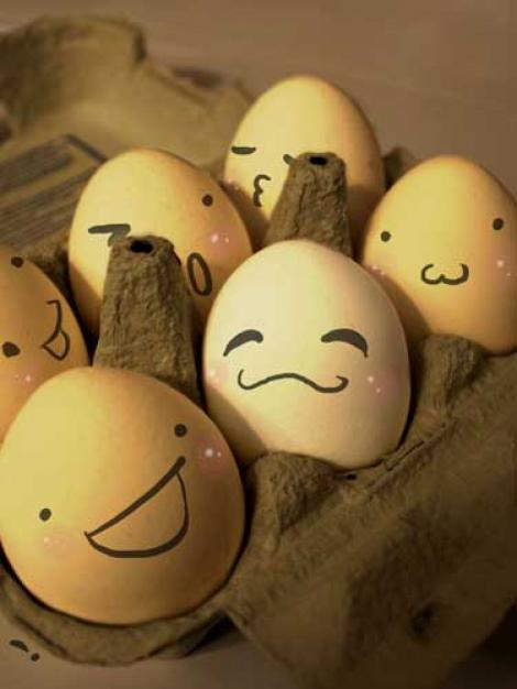 FOTO: Cum pastrezi proaspat un ou timp de un an? Raspunsul a fost dat in 1930