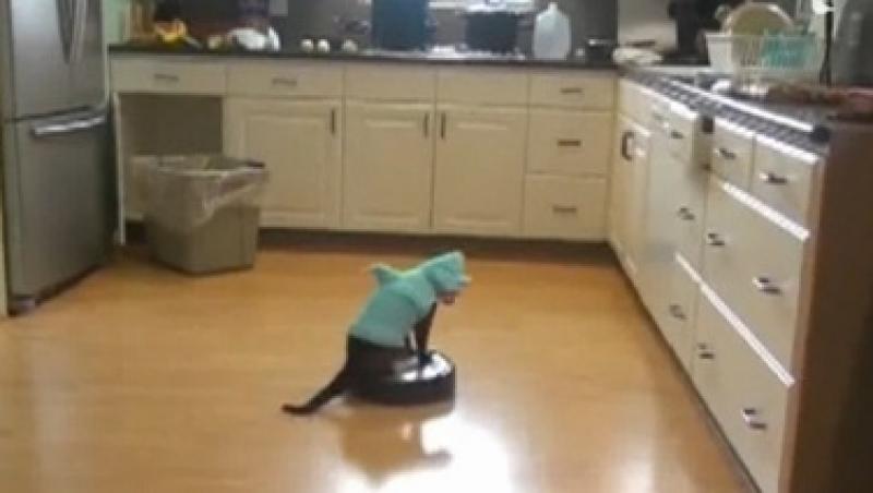 VIDEO FUNNY! O pisica, ajutor de nadejde la curatenie
