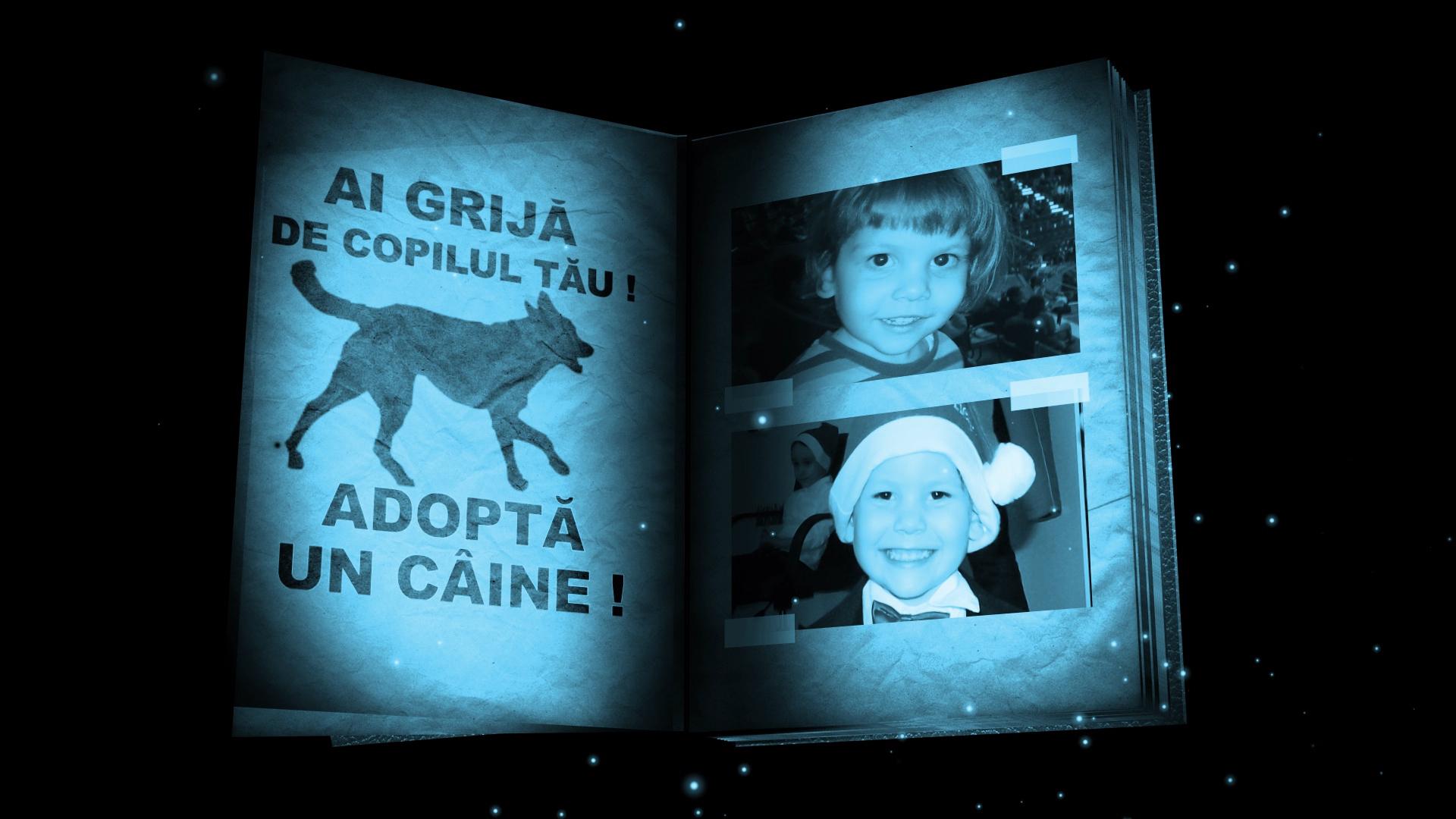 Demers social Observator: Ai grija de copilul tau! Adopta un caine!