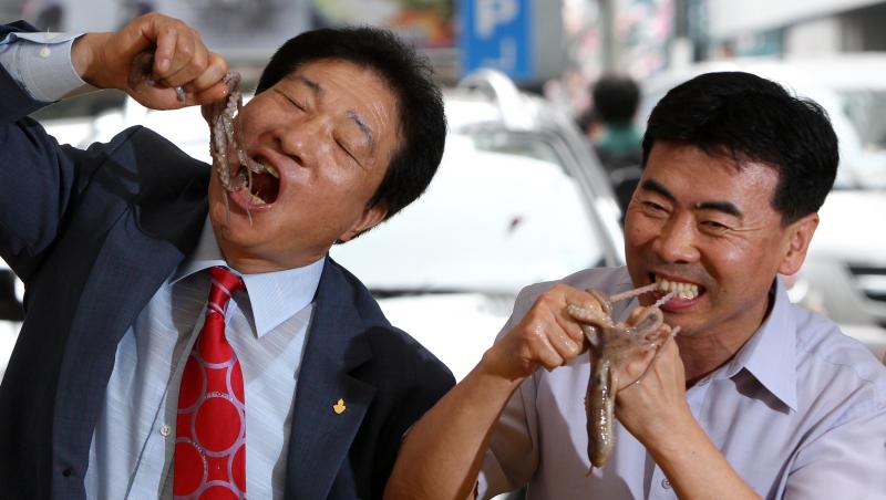 FOTO! Dezgustator sau delicatesa? Concurs de mancat caracatite vii, in Coreea