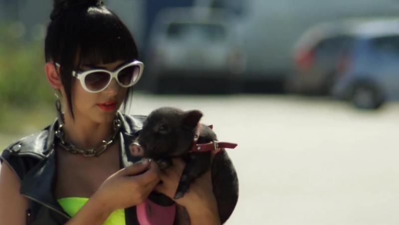 VIDEO! Iubita lui Banica este foarte iubareata: Tine la piept pana si porcii