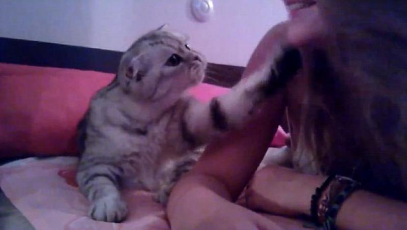 VIDEO! Iata cea mai afectuoasa pisica din lume