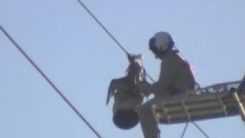 Un pescarus a fost salvat de un elicopter de pe liniile de electricitate