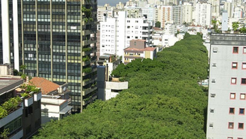 FOTO! 500 de metri de paradis. Cea mai frumoasa strada din lume se afla in Brazilia!