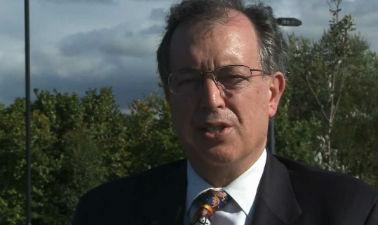 Americanii, gata sa se implice in problema cainilor vagabonzi din Romania: ce solutii propune una dintre cele mai mari asociatii din lume