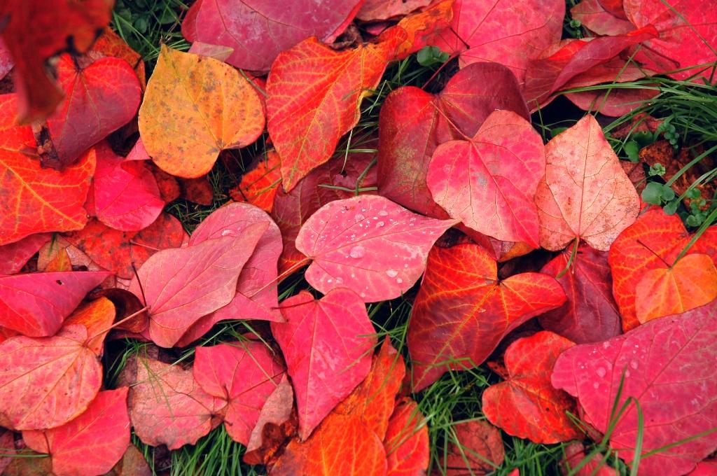 10 melodii pe care trebuie sa le asculti in luna septembrie