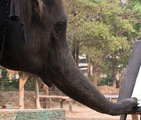 Elefantul căruia i se spune Picasso! &Icirc;şi face autoportretul cu trompa