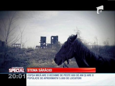 Cernobîlul din România e la Copșa Mică