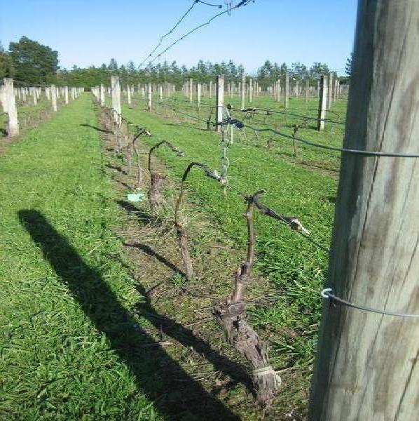 Gradele cu plus &icirc;n această perioadă nu sunt benefice!