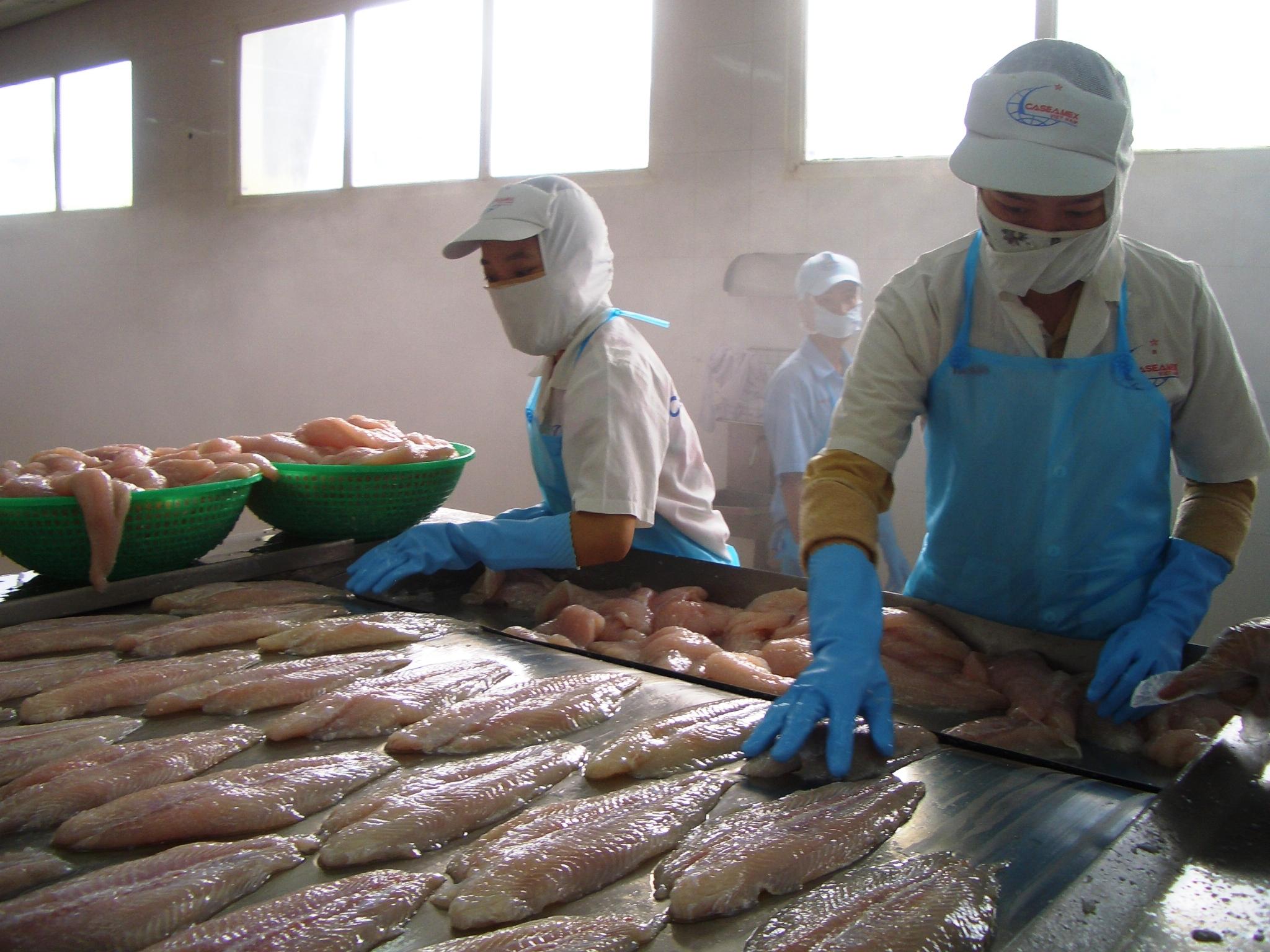 &Icirc;ncă mai măn&acirc;nci această specie de pește? Are mare căutare, dar e cea mai otrăvitoare!