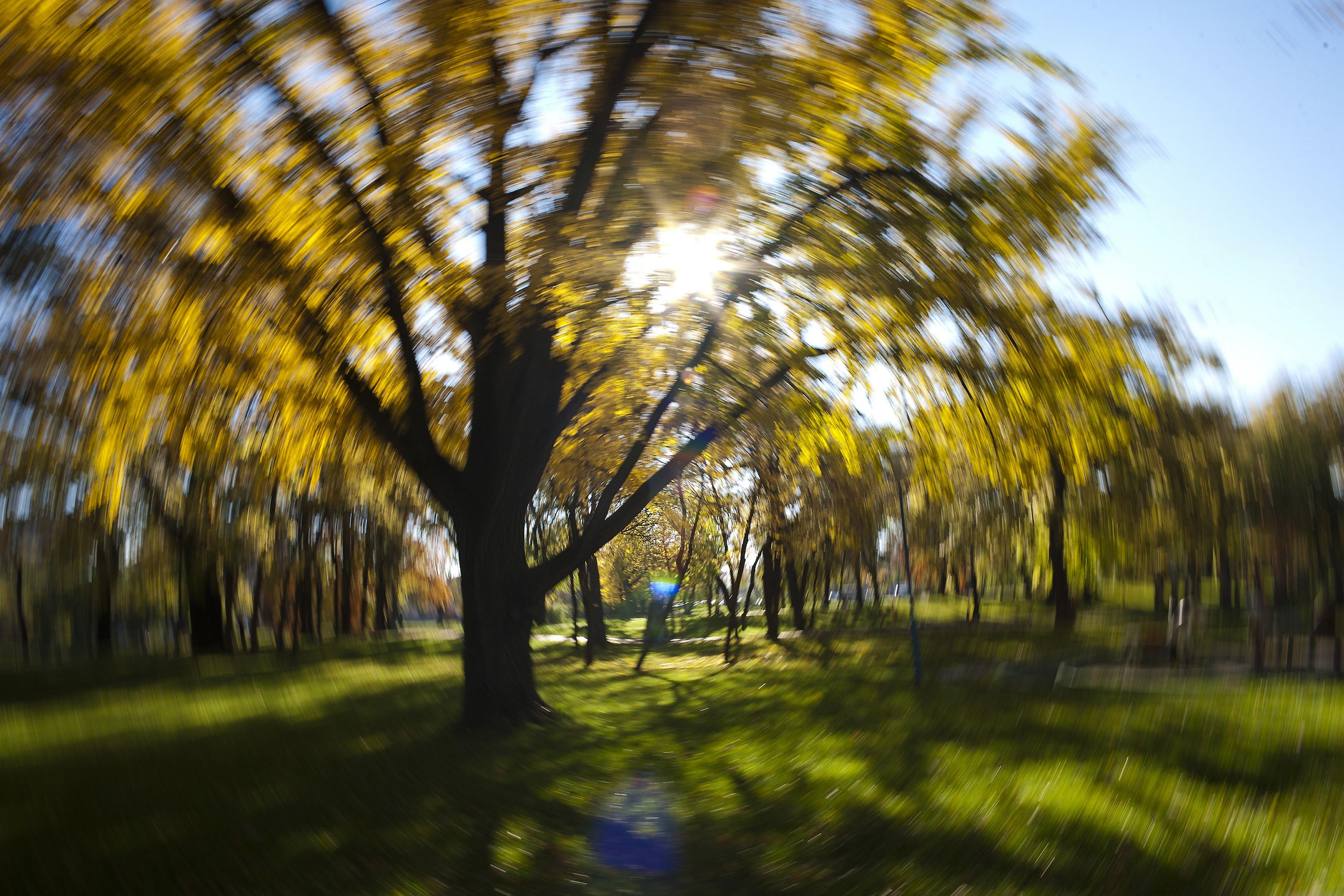 Meteorologii avertizează: Anul 2014 va fi unul dintre cei mai călduroşi din istorie