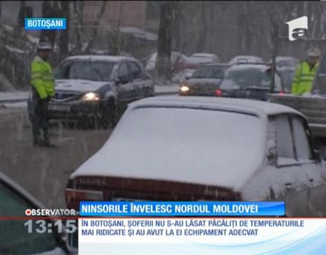 Ninsorile au pus stăpânire pe nordul Moldovei