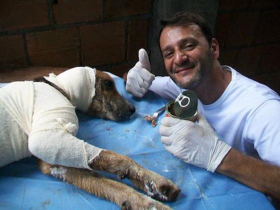 EMOȚIONANT | Cum a fost salvat c&acirc;inele care devenise hrană pentru viermi!