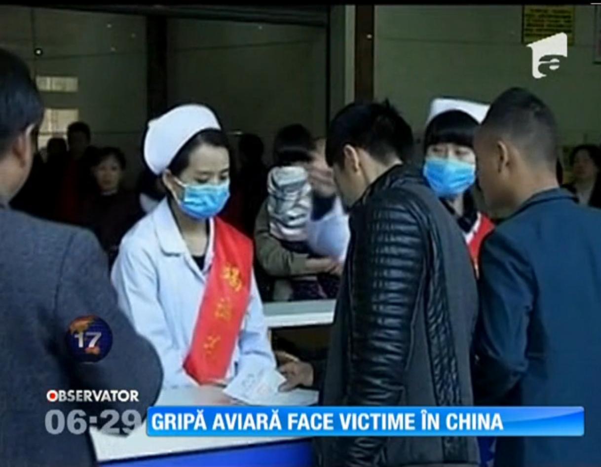Gripa aviară revine: Primul deces, &icirc;nregistrat &icirc;n China
