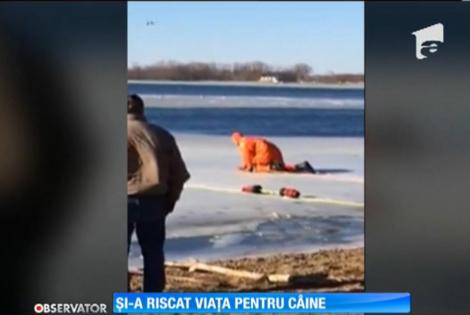 A căzut într-un lac îngheţat încercând să-şi salveze câinele