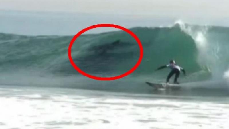 VIDEO: Apariţie SENZAŢIONALĂ lângă un surfer. Ce au surprins fotografii în valuri