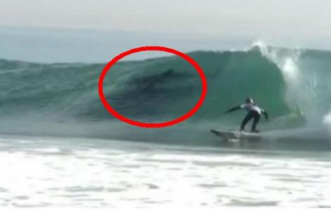 VIDEO: Apariţie SENZAŢIONALĂ lângă un surfer. Ce au surprins fotografii în valuri