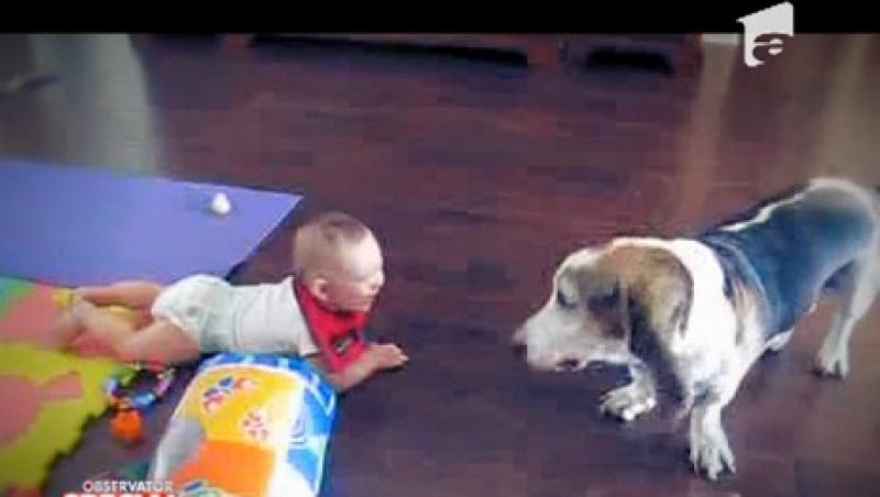 Te topești! Cum se joacă un bebeluș de doar câteva luni cu un câine!