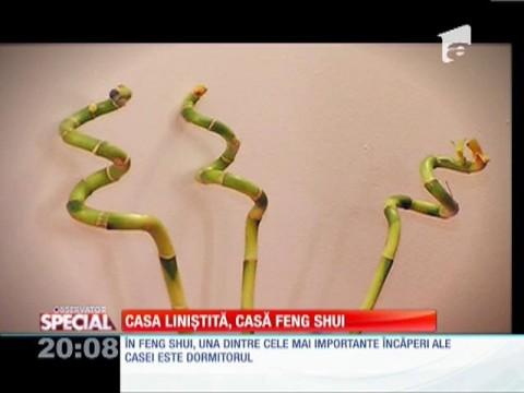 Arhitectură Feng Shui, &icirc;n casă liniștită!