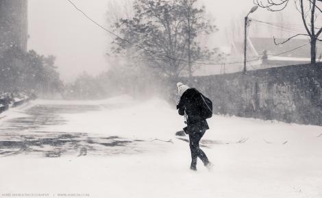 Vremea cu Flavia Mihășan: ”Iubitorii fulgilor de nea sunt în Paradisul Zăpezilor. Ninge, ninge și iar ninge!”