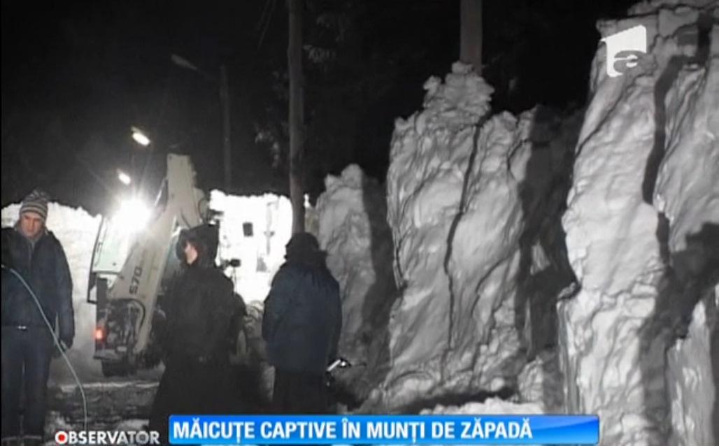 20 de măicuțe, captive &icirc;n munți de zăpadă