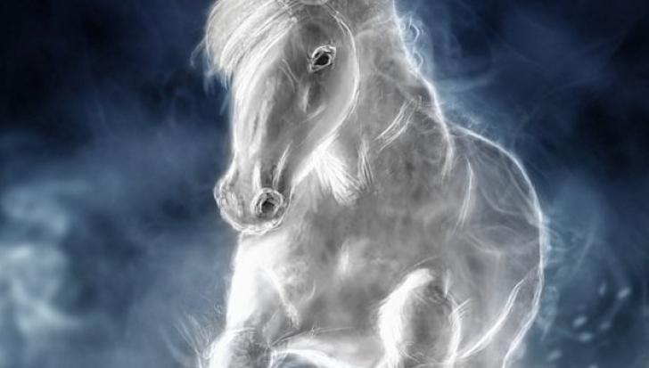 Anul Calului de Lemn ne aduce multe aventuri: Eşti gata să rişti? Horoscopul chinezesc al anului 2014