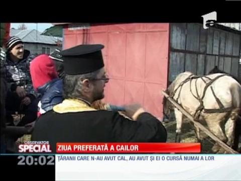 Observator Special: Botezul Cailor există!