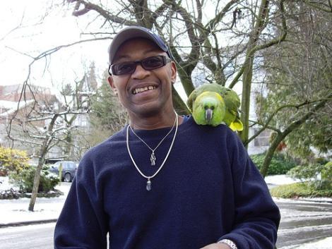 Ultima modă &icirc;n UK: la plimbare cu papagalii!